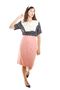 Pink Feminine Vintage Skirt For Women 1950s