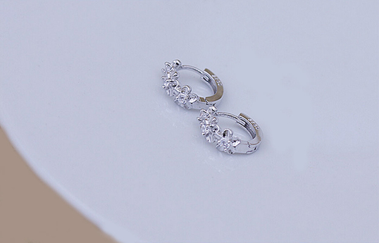 Silver Plated Crystal Rhinestone Stud Earrings Hoop For Women ...